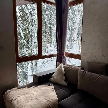 Appartement Dream - Iceberg Pamporovo